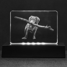 Load image into Gallery viewer, Personalized Crystal-Stadium