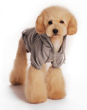Load image into Gallery viewer, Custom Personalized Design Your Own Dog Hoodie Sweatshirt (pet Clothing)
