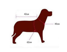 Load image into Gallery viewer, Custom Personalized Design Your Own Dog Hoodie Sweatshirt (pet Clothing)