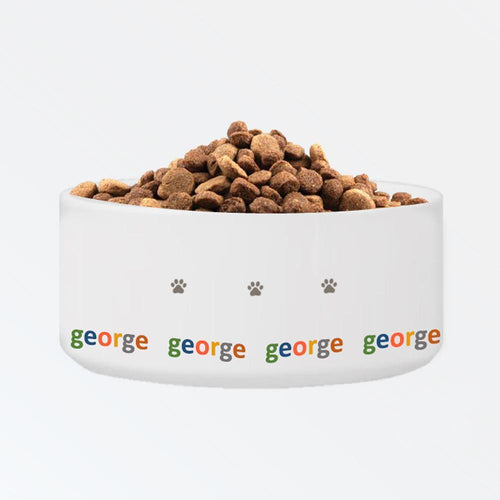 Personalized Classic Large Dog Bowl - Paws | JDS